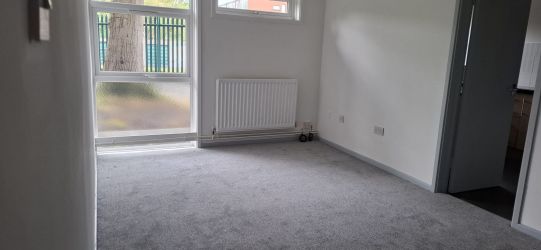 living_room.jpeg